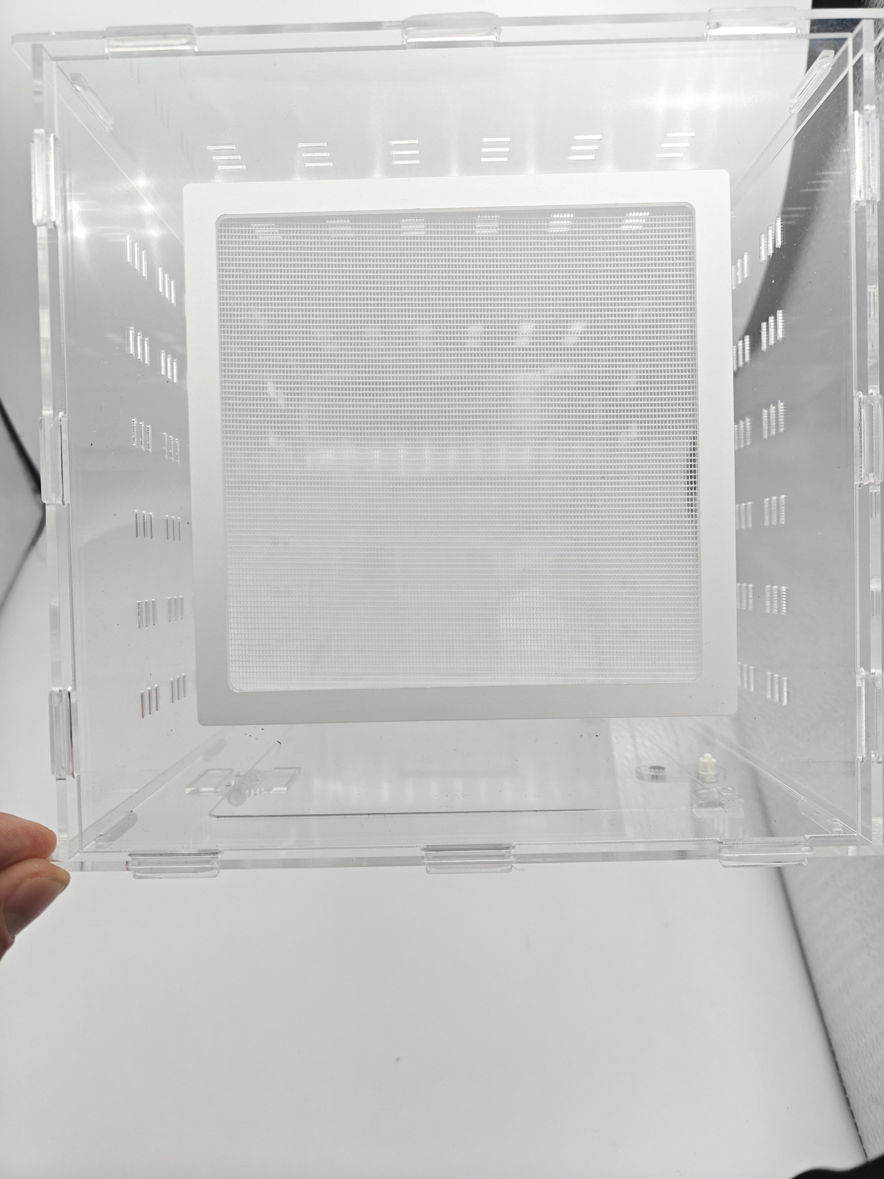 Achat_Pack_d_elevage_insecte_tout-en-un_4