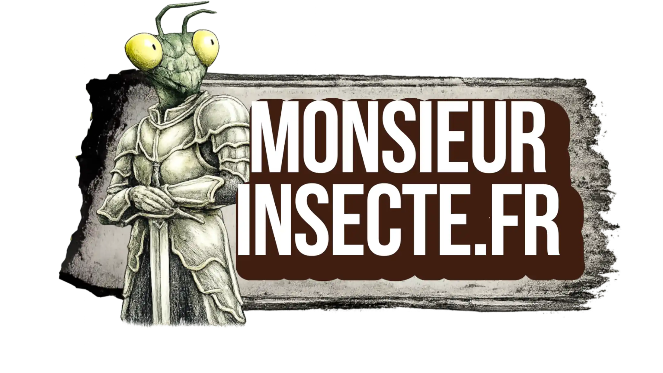 Monsieur Insecte