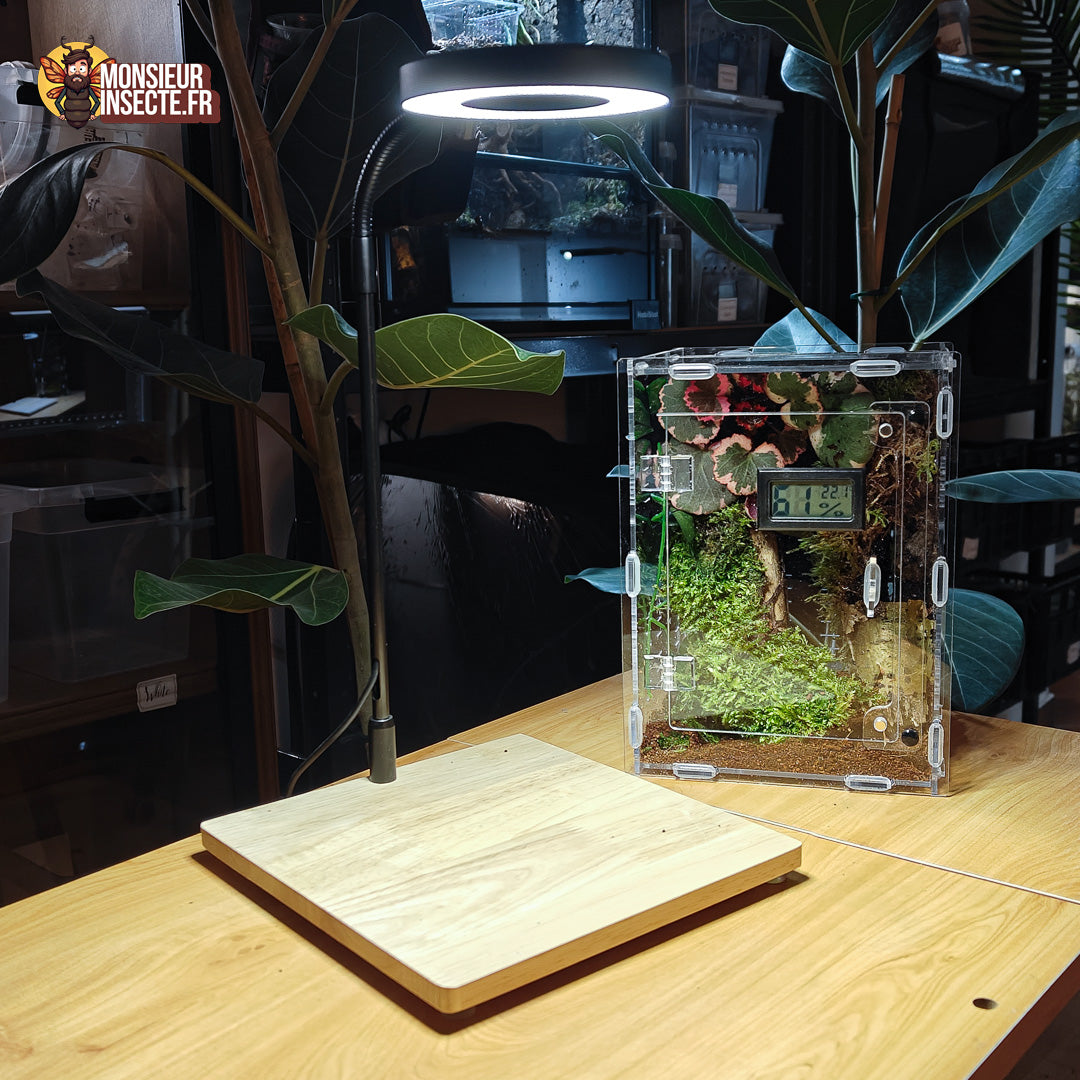 Achat lampe terrarium insecte 7
