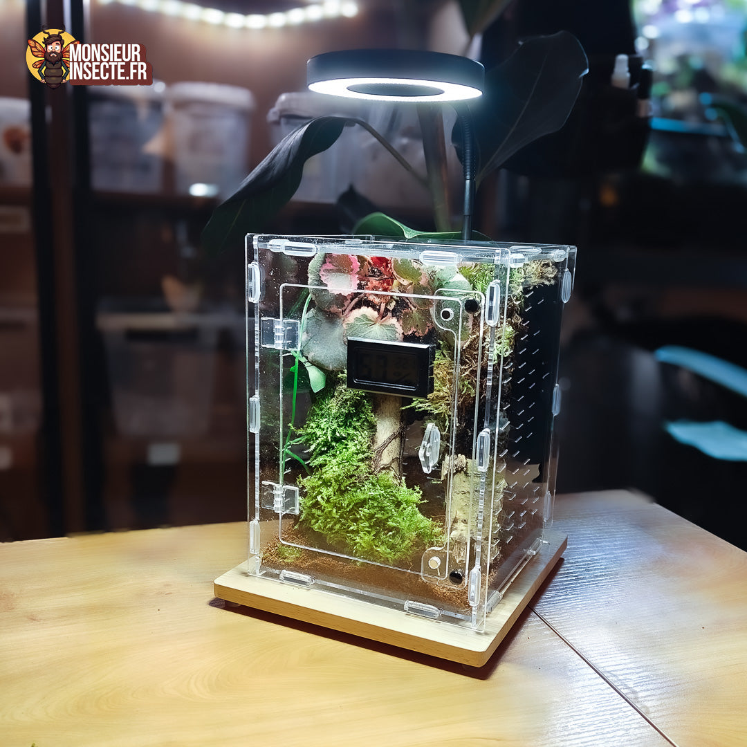 Achat lampe terrarium insecte 8