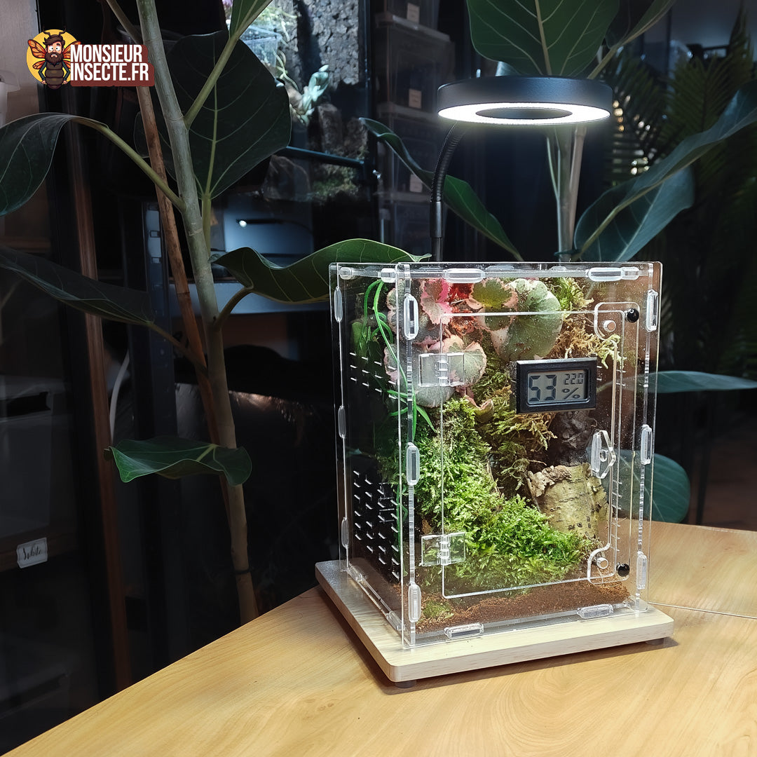 Achat lampe terrarium insecte 9