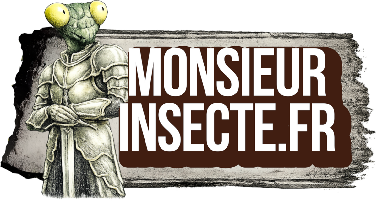 Monsieur Insecte