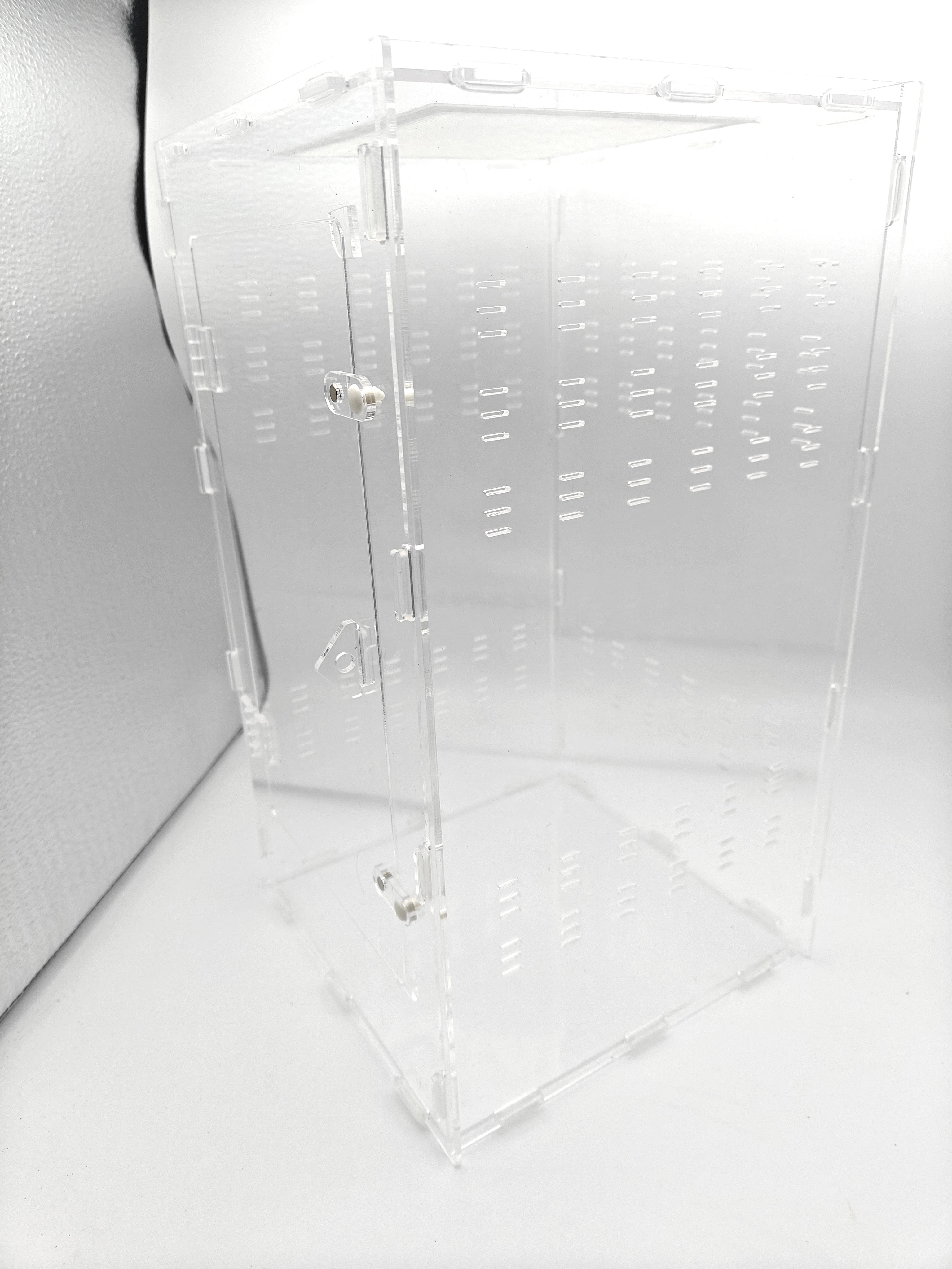 Accessoire | Terrarium  spécial insecte 20*20*35, idéal mantes religieuses, phasmes