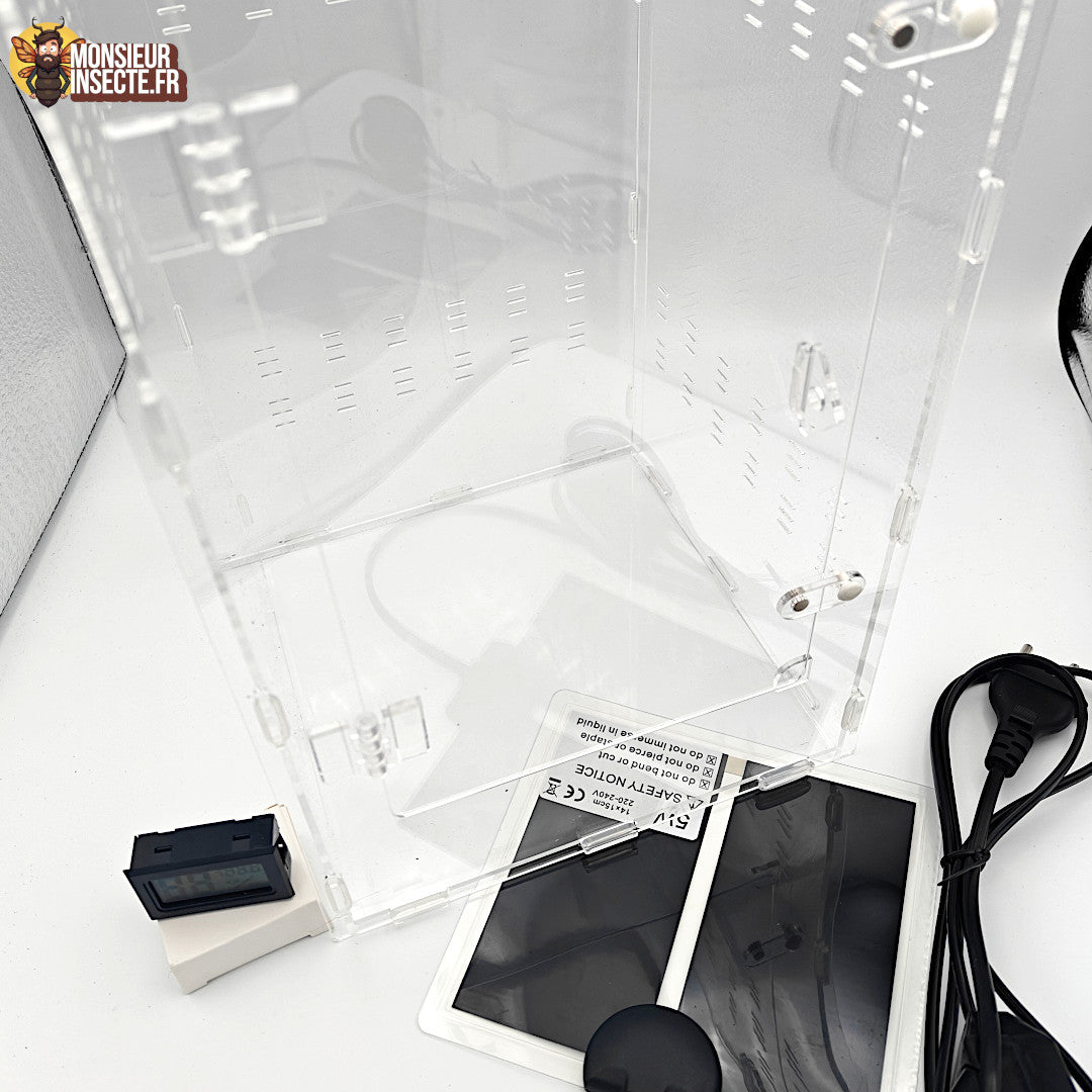 Kit élevage | Araignée