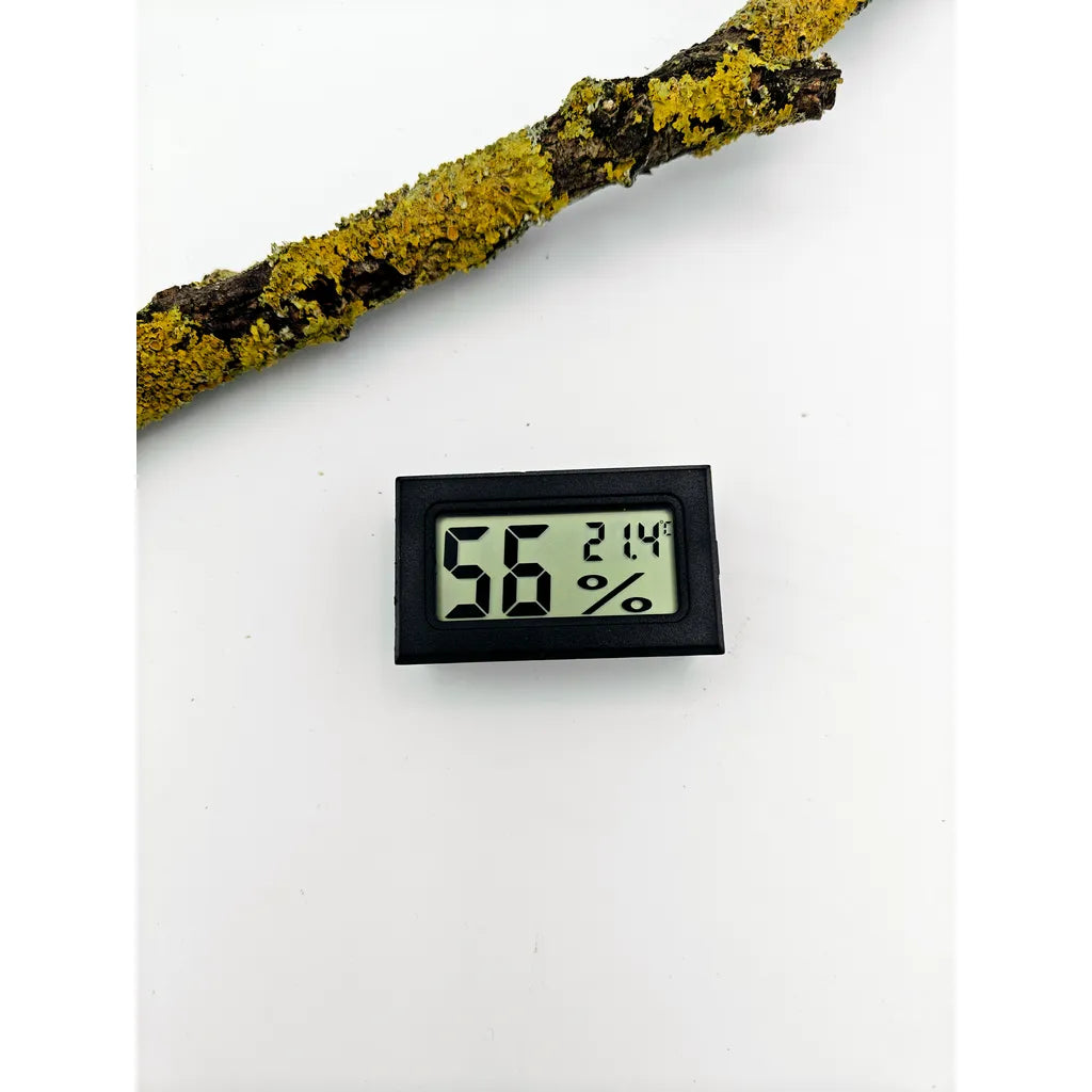 achat thermometre hygrometre elevage insecte
