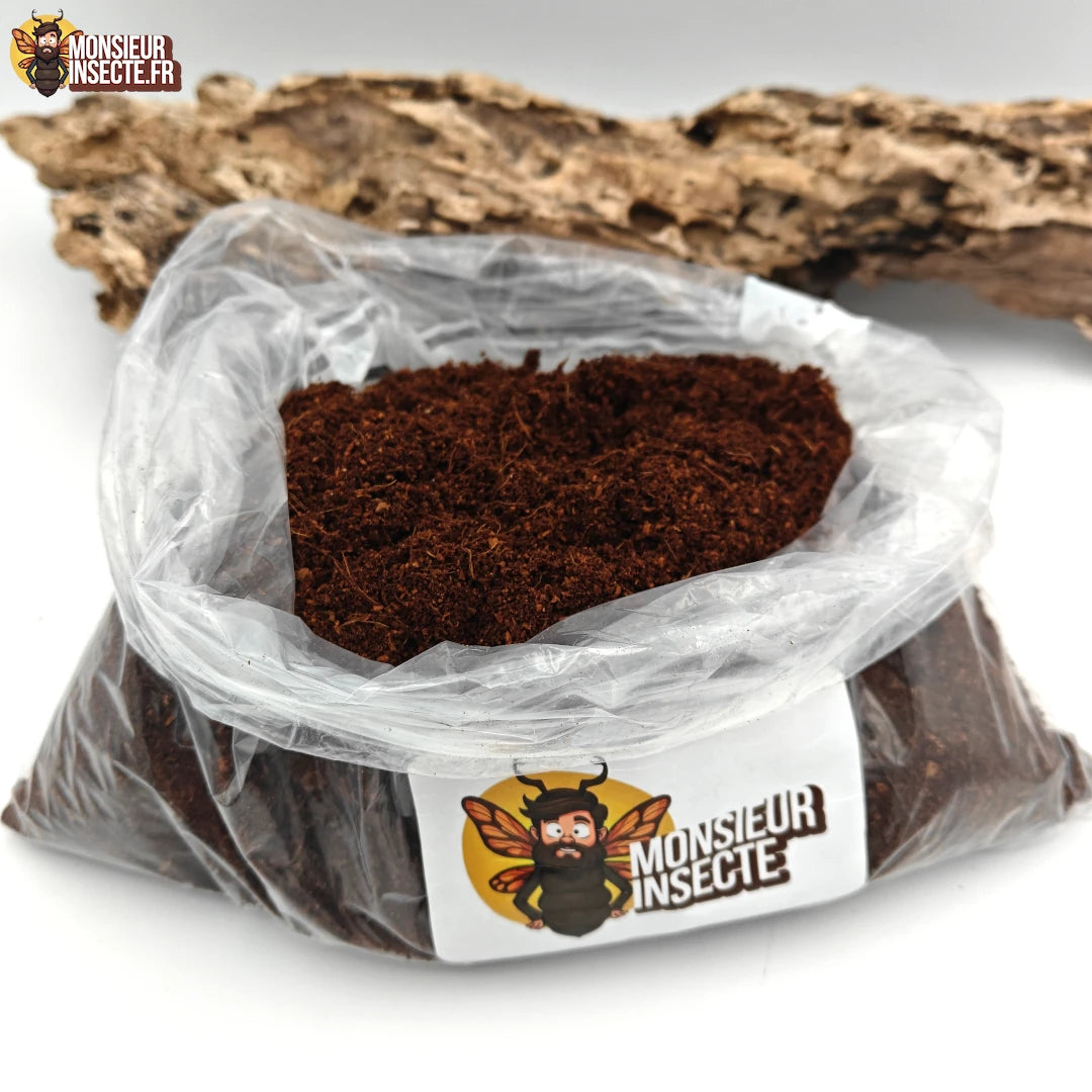 Kit décoration terrarium | Mousse, Tourbe de coco et bois