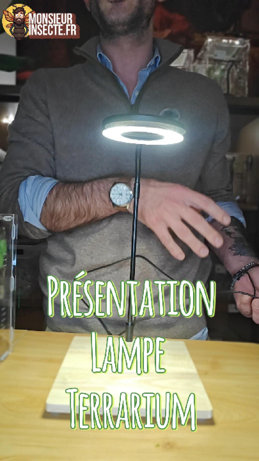 Achat lampe terrarium