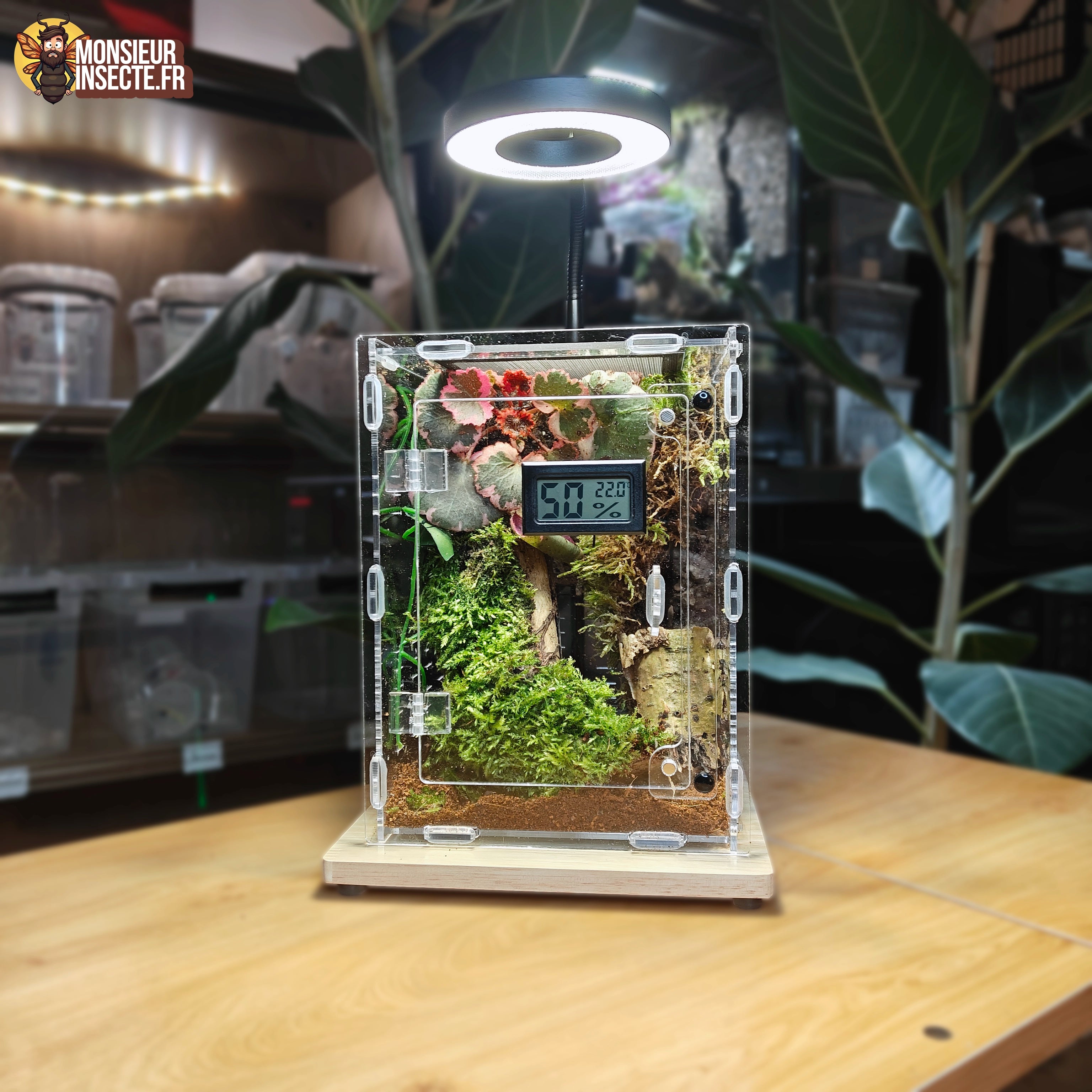 Achat lampe terrarium insecte 1