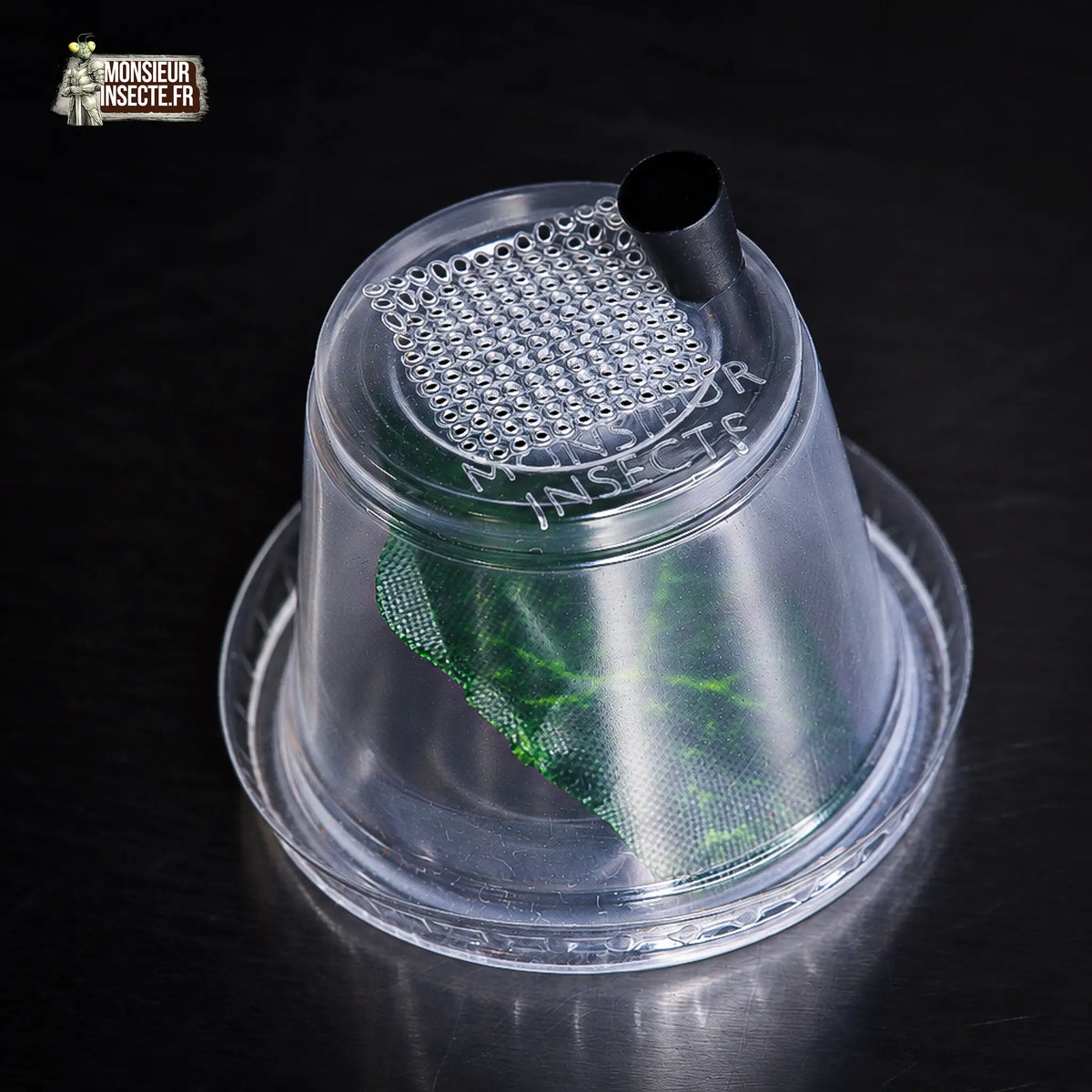 achat-pot-elevage-araignee-mante-4