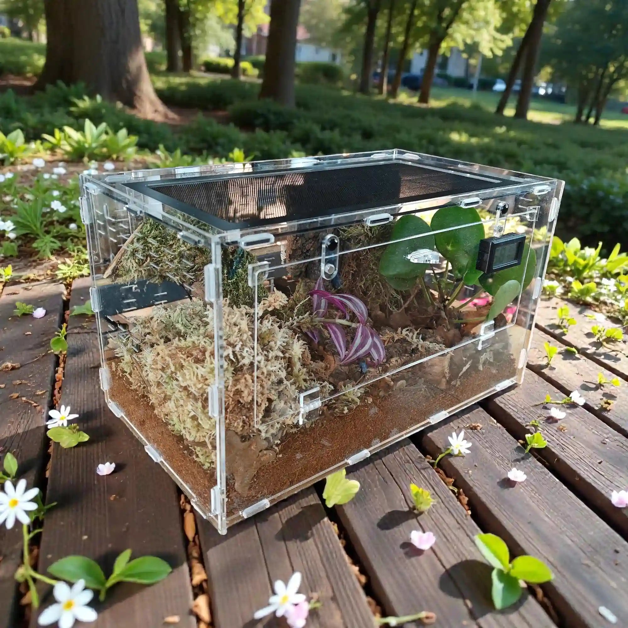 achat-terrarium-escargot-cloporte