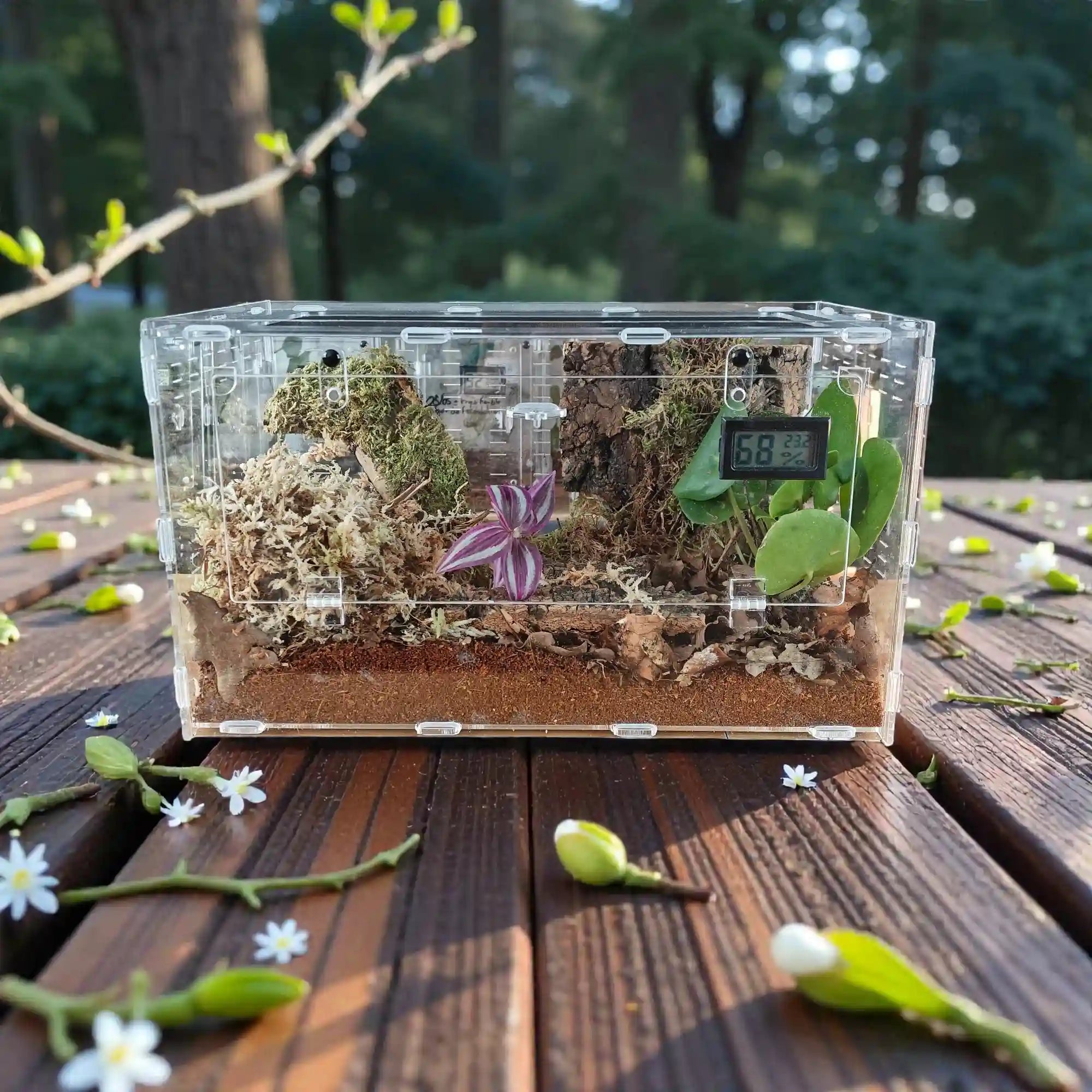 achat-terrarium-escargot-cloporte_44