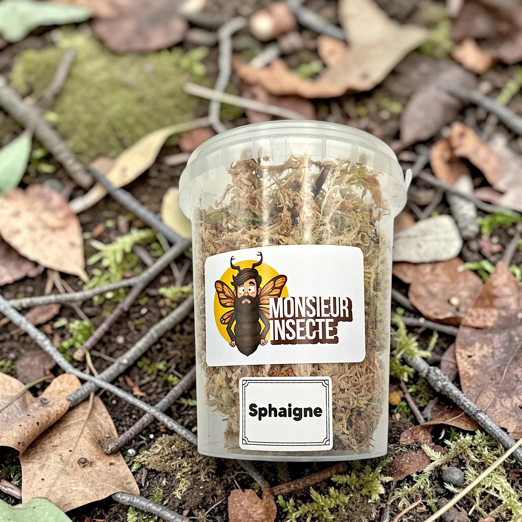 achat_sphaigne_terrarium_mousse_2
