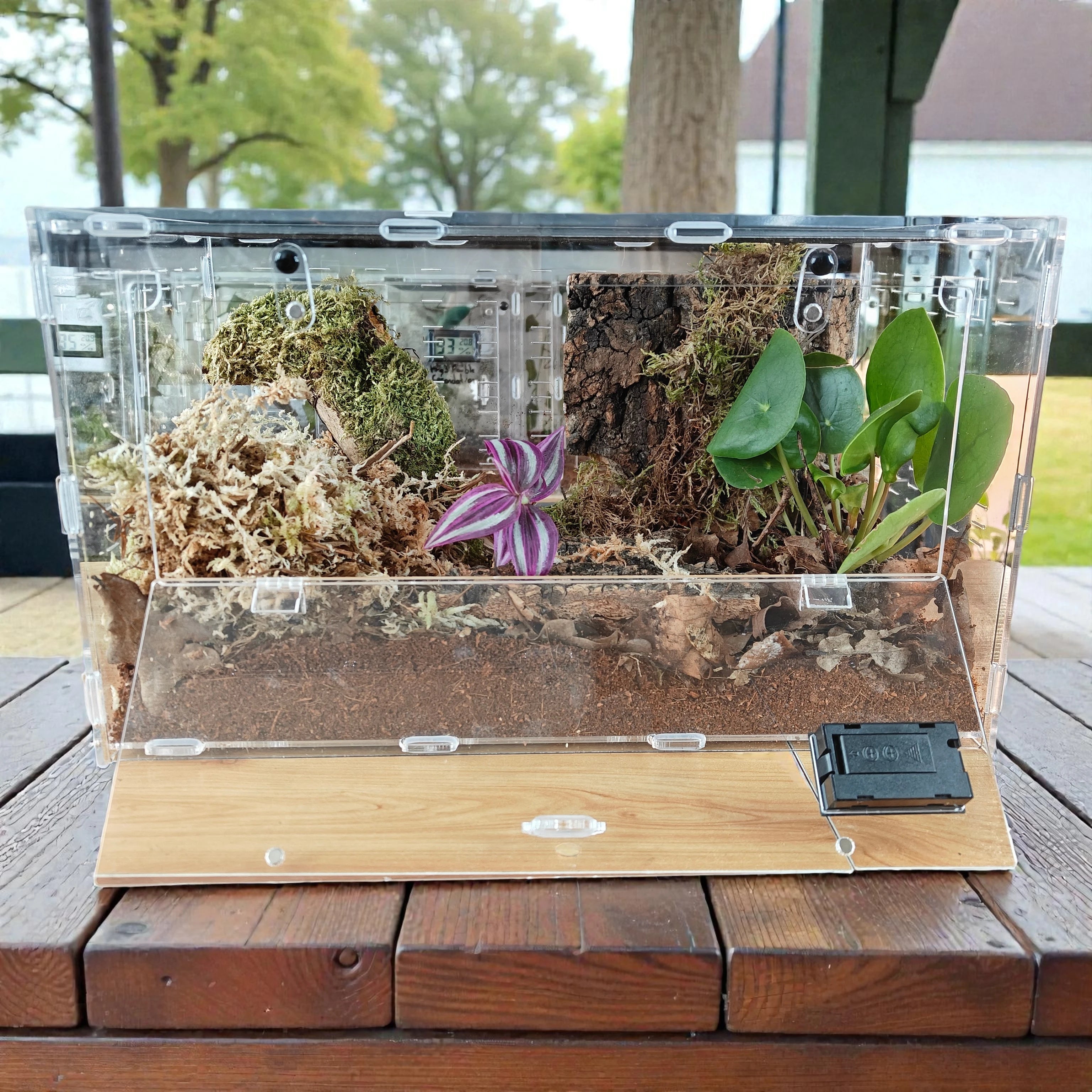 Terrarium | Terrarium terrestre 20*20*35, araignée, escargot, insecte rampant etc..