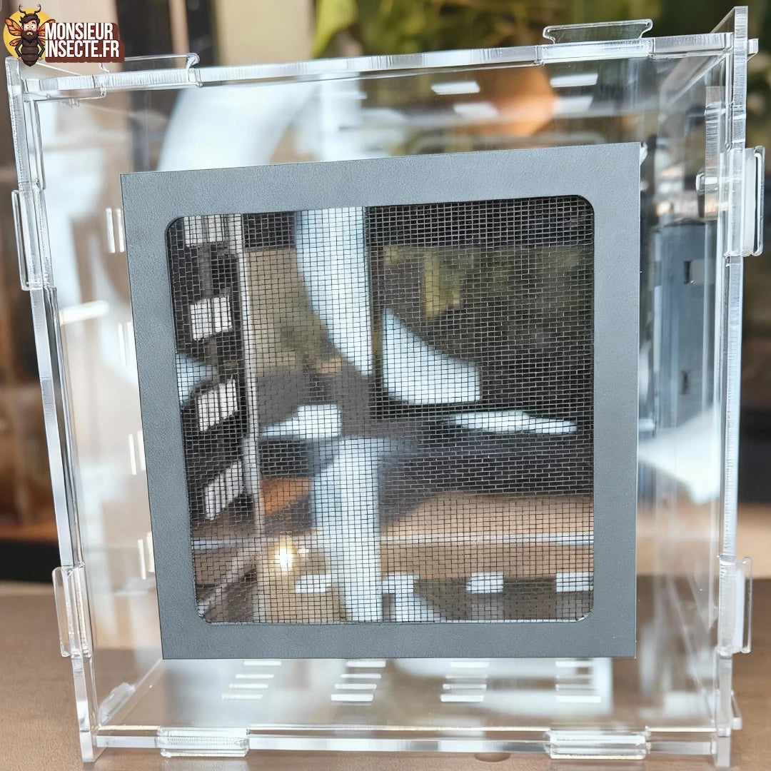 Kit élevage | Araignée