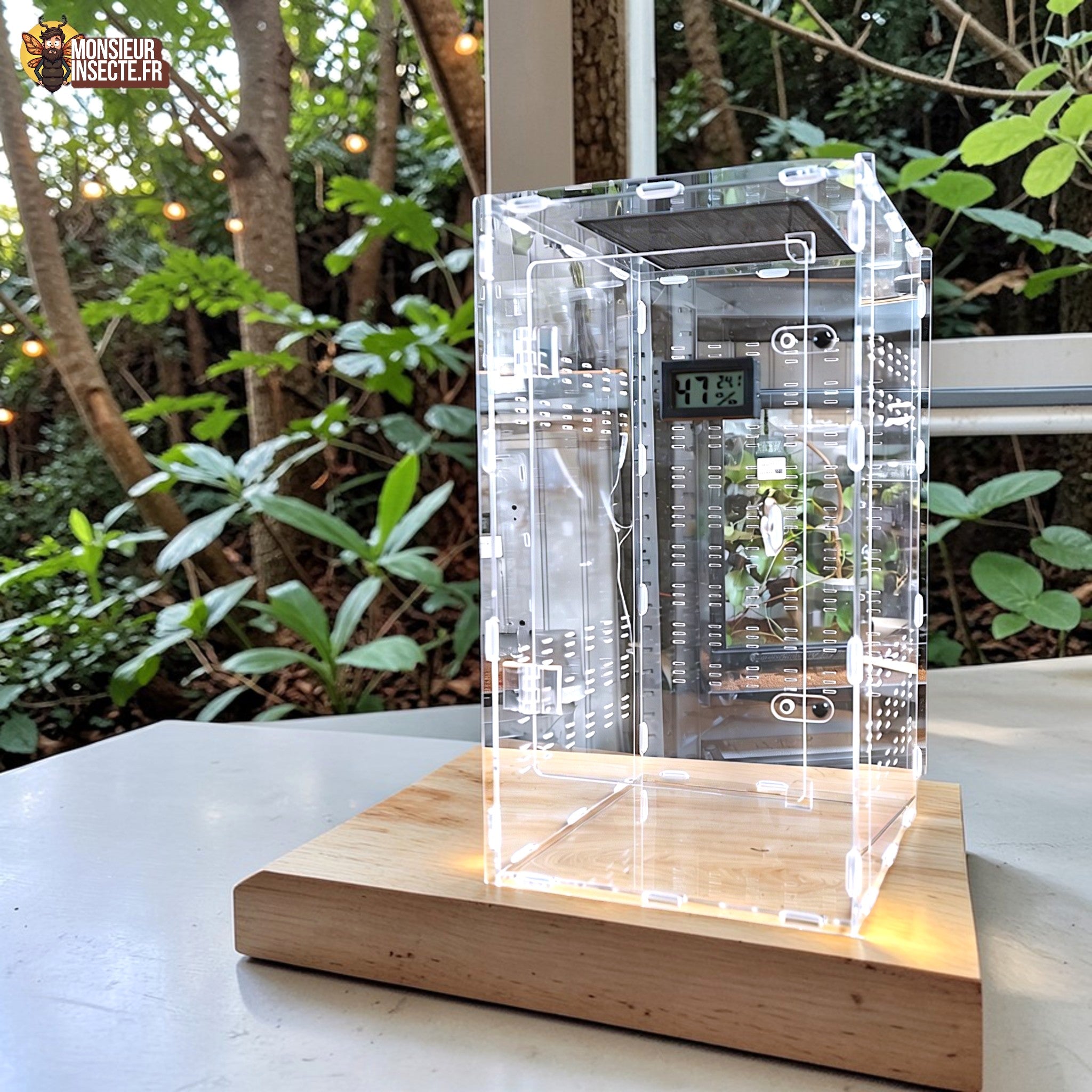 Terrarium | Terrarium  spécial insecte 20*20*35 + thermomètre/hygromètre , idéal mantes religieuses, phasmes